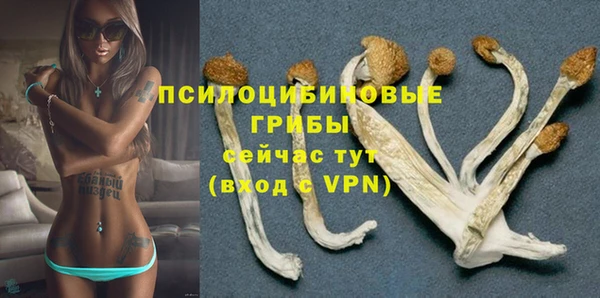 твердый Богородицк