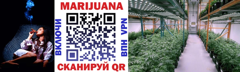 Канабис ГИДРОПОН Наро-Фоминск