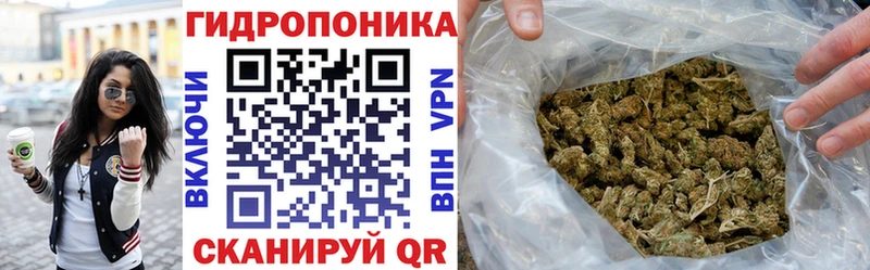 Бошки Шишки ГИДРОПОН  Наро-Фоминск 